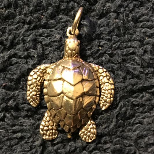 Loggerhead Turtle Pendant in Sterling Silver