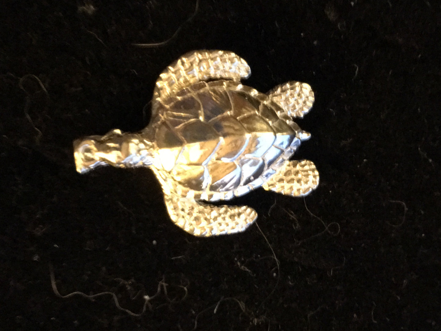 Loggerhead Turtle Pendant in Sterling Silver